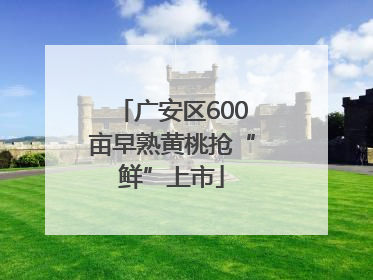 广安区600亩早熟黄桃抢“鲜”上市