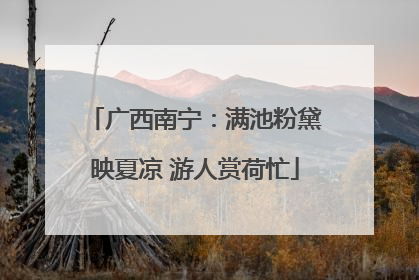 广西南宁：满池粉黛映夏凉 游人赏荷忙
