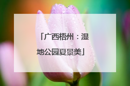 广西梧州：湿地公园夏景美