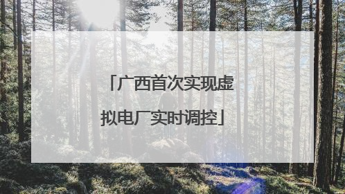 广西首次实现虚拟电厂实时调控