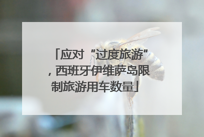 应对“过度旅游”，西班牙伊维萨岛限制旅游用车数量