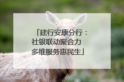 建行安康分行：社银联动聚合力 多维服务惠民生