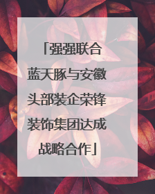 强强联合 蓝天豚与安徽头部装企荣锋装饰集团达成战略合作