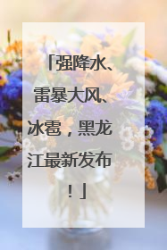 强降水、雷暴大风、冰雹，黑龙江最新发布！