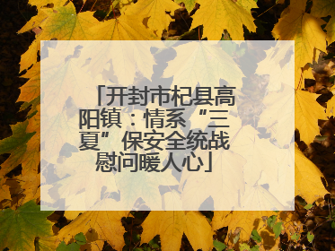 开封市杞县高阳镇：情系“三夏”保安全统战慰问暖人心
