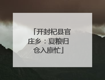 开封杞县官庄乡：夏粮归仓入廪忙