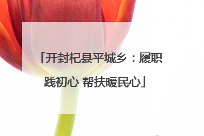 开封杞县平城乡：履职践初心 帮扶暖民心