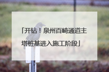 开钻！泉州百崎通道主塔桩基进入施工阶段