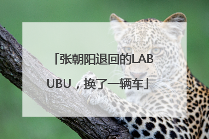 张朝阳退回的LABUBU，换了一辆车