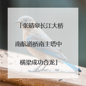 张靖皋长江大桥南航道桥南主塔中横梁成功合龙