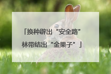 换种辟出“安全路” 林带结出“金果子”