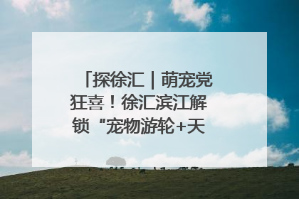 探徐汇｜萌宠党狂喜！徐汇滨江解锁“宠物游轮+天台乐园”双玩法