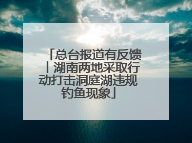 总台报道有反馈丨湖南两地采取行动打击洞庭湖违规钓鱼现象