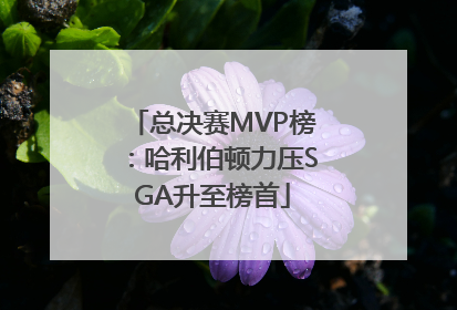 总决赛MVP榜：哈利伯顿力压SGA升至榜首