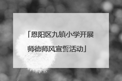 恩阳区九镇小学开展师德师风宣誓活动