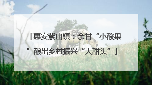 惠安紫山镇：余甘“小酸果”酿出乡村振兴“大甜头”