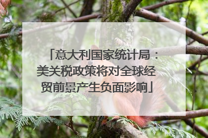 意大利国家统计局：美关税政策将对全球经贸前景产生负面影响
