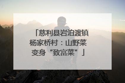 慈利县岩泊渡镇杨家桥村：山野菜变身“致富菜”