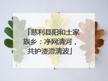 慈利县阳和土家族乡：净网清河，共护溇澧清波