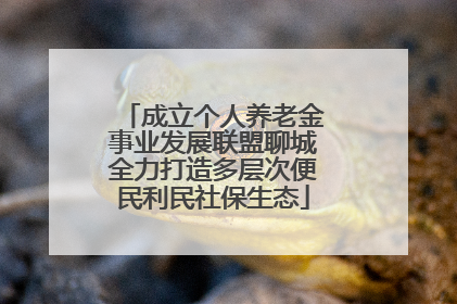 成立个人养老金事业发展联盟聊城全力打造多层次便民利民社保生态