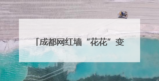 成都网红墙“花花”变“labubu”引争议 最新：涂鸦已被抹掉
