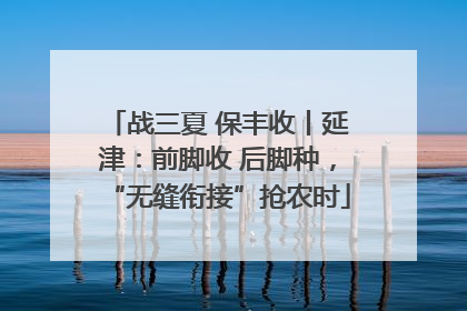 战三夏 保丰收丨延津：前脚收 后脚种，“无缝衔接”抢农时