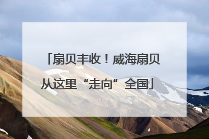 扇贝丰收！威海扇贝从这里“走向”全国