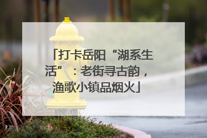 打卡岳阳“湖系生活”：老街寻古韵，渔歌小镇品烟火