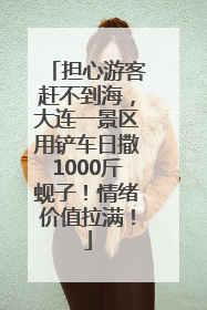 担心游客赶不到海，大连一景区用铲车日撒1000斤蚬子！情绪价值拉满！