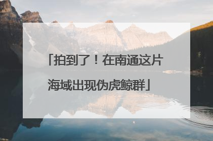 拍到了！在南通这片海域出现伪虎鲸群