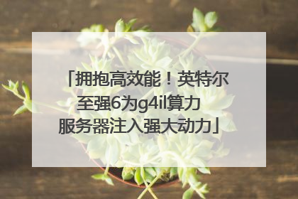 拥抱高效能！英特尔至强6为g4il算力服务器注入强大动力