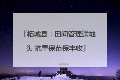 柘城县：田间管理送地头 抗旱保苗保丰收