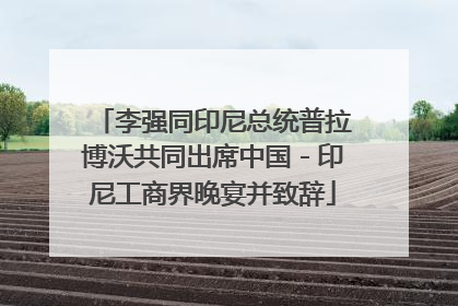 李强同印尼总统普拉博沃共同出席中国－印尼工商界晚宴并致辞