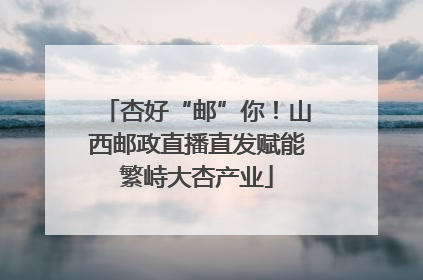 杏好“邮”你！山西邮政直播直发赋能繁峙大杏产业