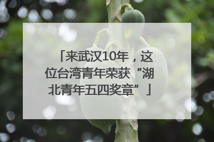 来武汉10年，这位台湾青年荣获“湖北青年五四奖章”
