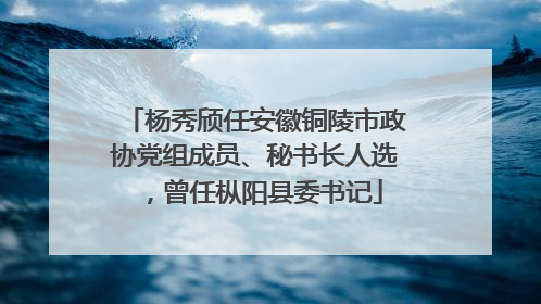 杨秀颀任安徽铜陵市政协党组成员、秘书长人选，曾任枞阳县委书记