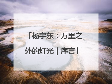 杨宇东：万里之外的灯光｜序言