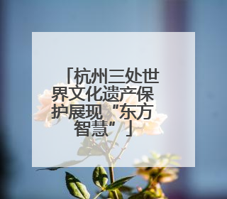 杭州三处世界文化遗产保护展现“东方智慧”