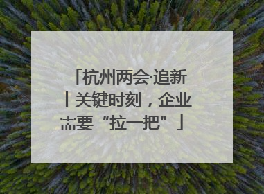 杭州两会·追新丨关键时刻，企业需要“拉一把”