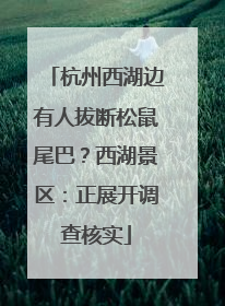 杭州西湖边有人拔断松鼠尾巴？西湖景区：正展开调查核实