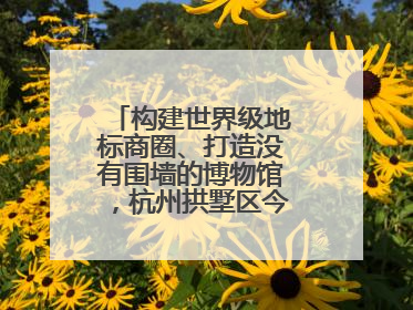 构建世界级地标商圈、打造没有围墙的博物馆，杭州拱墅区今年要干这些事