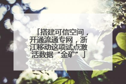 搭建可信空间，开通流通专网，浙江移动这项试点激活数据“金矿”
