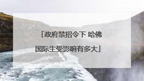 政府禁招令下 哈佛国际生受影响有多大
