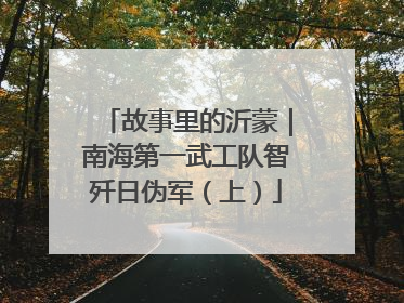 故事里的沂蒙｜南海第一武工队智歼日伪军（上）