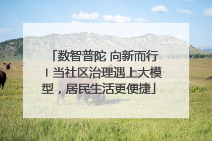 数智普陀 向新而行〡当社区治理遇上大模型，居民生活更便捷