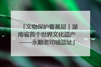 文物保护看基层｜湖南省首个世界文化遗产——永顺老司城遗址