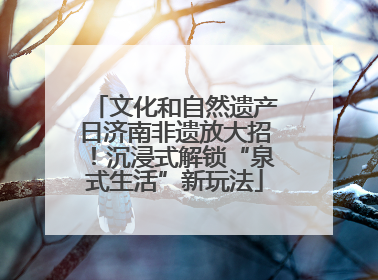 文化和自然遗产日济南非遗放大招！沉浸式解锁“泉式生活”新玩法