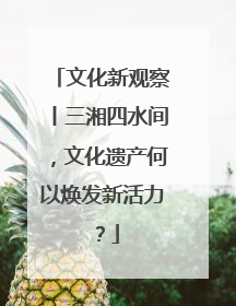 文化新观察丨三湘四水间，文化遗产何以焕发新活力？