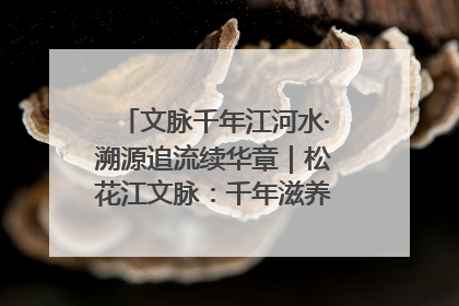 文脉千年江河水·溯源追流续华章｜松花江文脉：千年滋养，奔涌不息