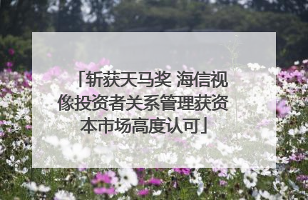 斩获天马奖 海信视像投资者关系管理获资本市场高度认可